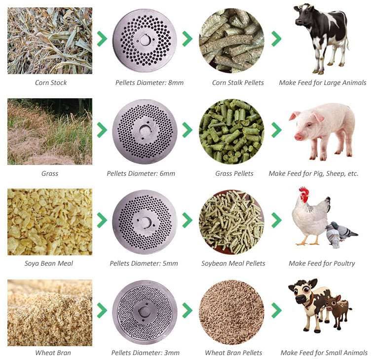cattle & sheep feed pellet production