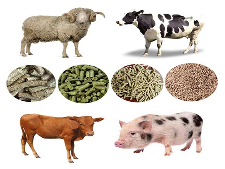 poultry feed pellet applications